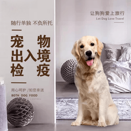 洛阳市宠物托运到哥伦比亚猫狗宠物入境规定和