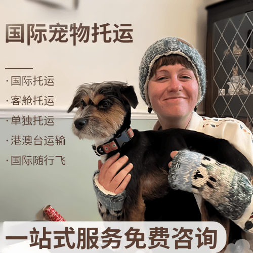 洛阳市国际宠物托运到阿根廷宠物入境规定和要