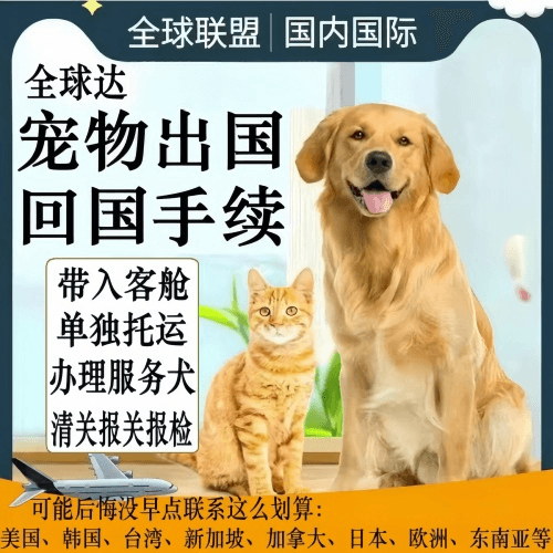 洛阳市宠物托运到柬埔寨宠物入境规定和要求