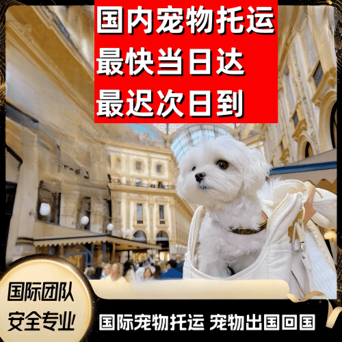 洛阳市到澳大利亚（澳洲）宠物入境规定和要求